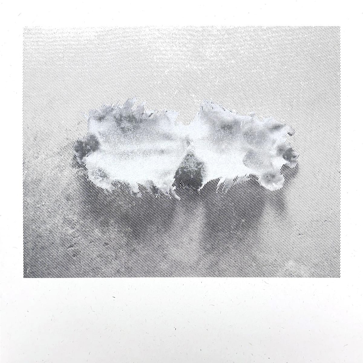 Joe Fujinoki — Glass Torso LP vinyl cover