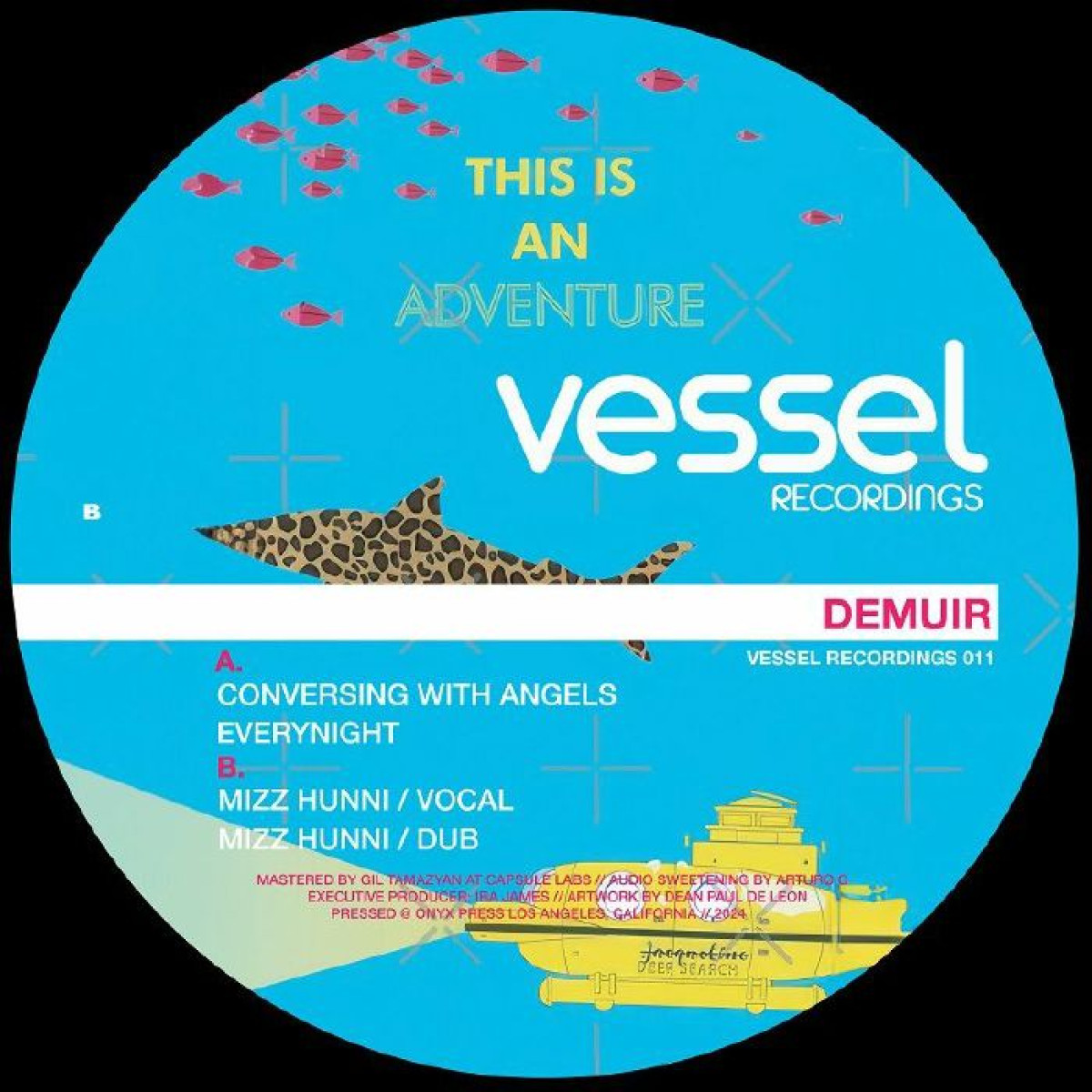 Demuir — Conversing With Angels vinyl cover
