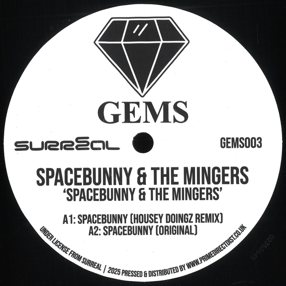 Spacebunny, The Mingers — Spacebunny / Fancy A Shag vinyl cover