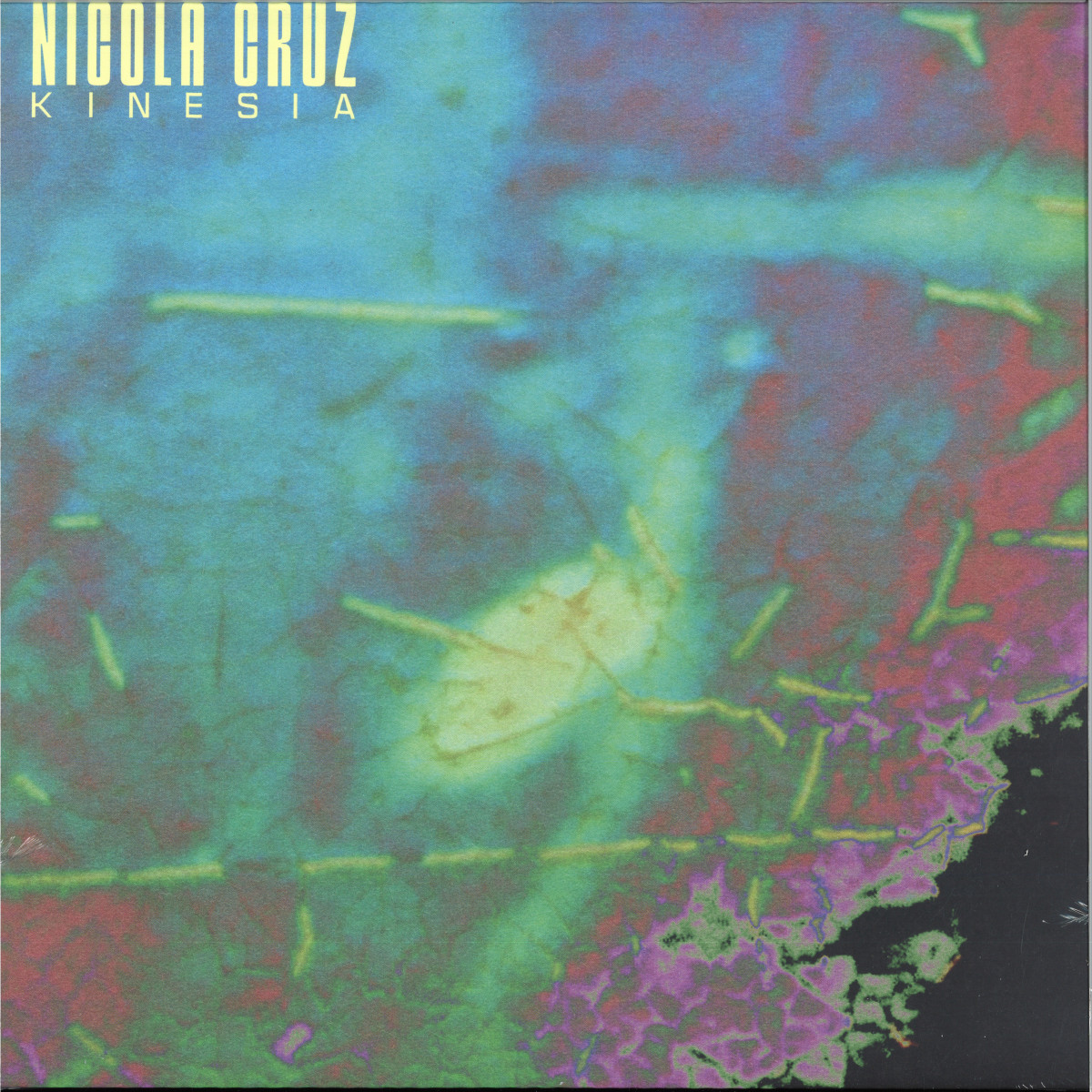 Nicola Cruz — Kinesia vinyl cover