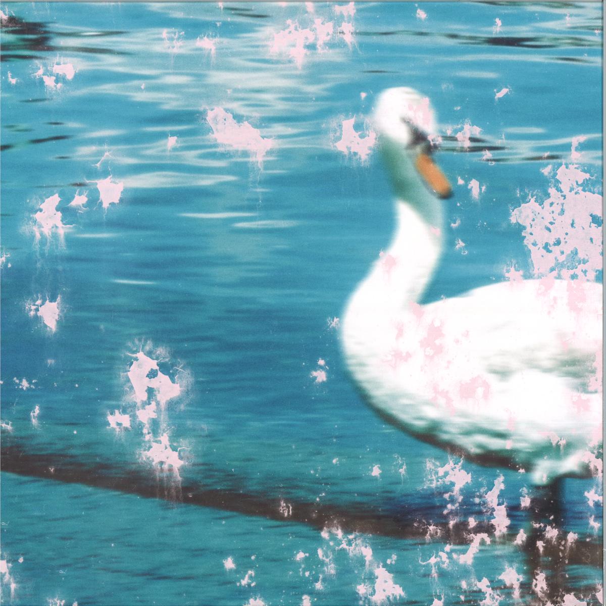 Pvas — Slipstream vinyl cover