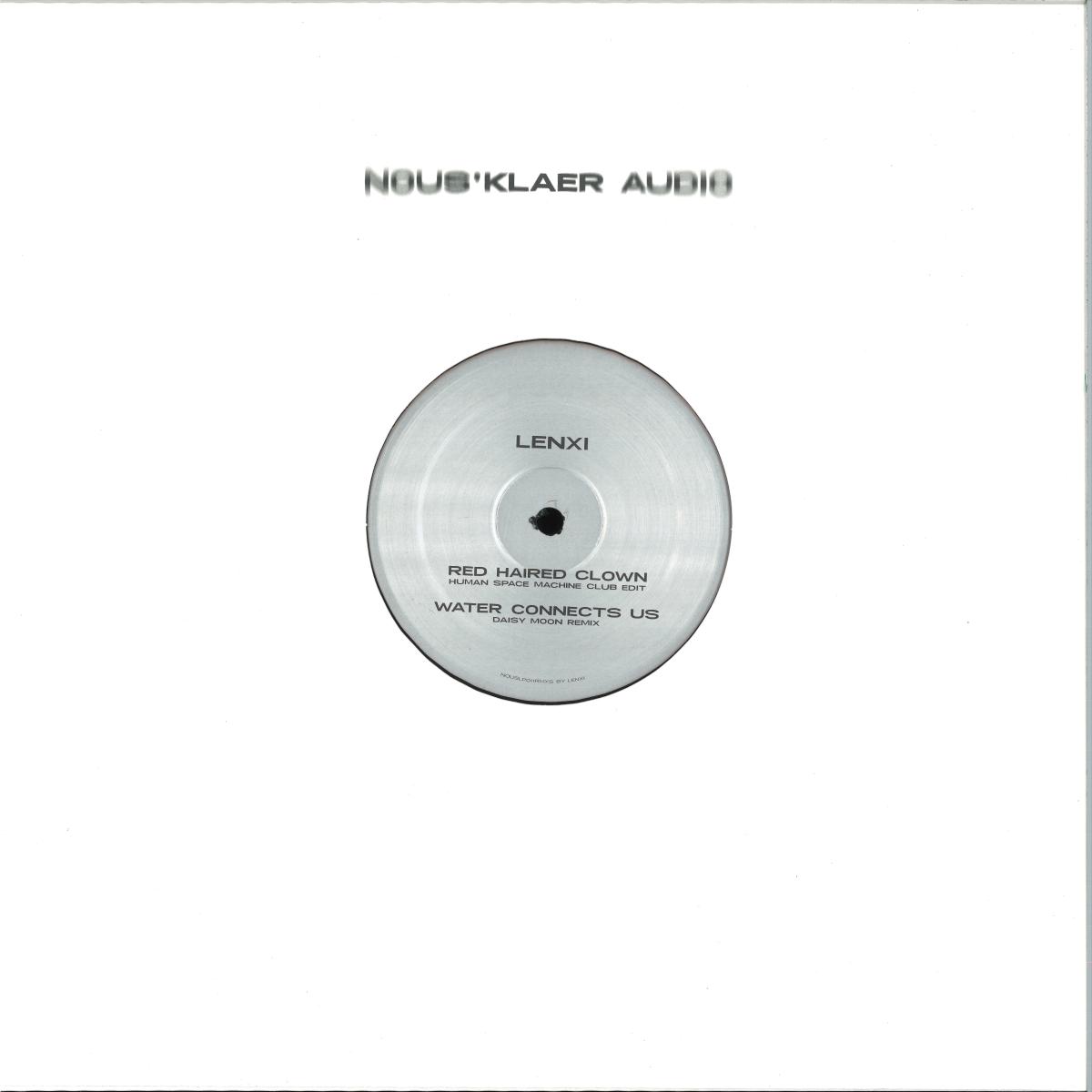  — Did you get the dream I sent you? (Polygonia, oma totem, Human Space Machine, Daisy Moon Remixes) vinyl cover