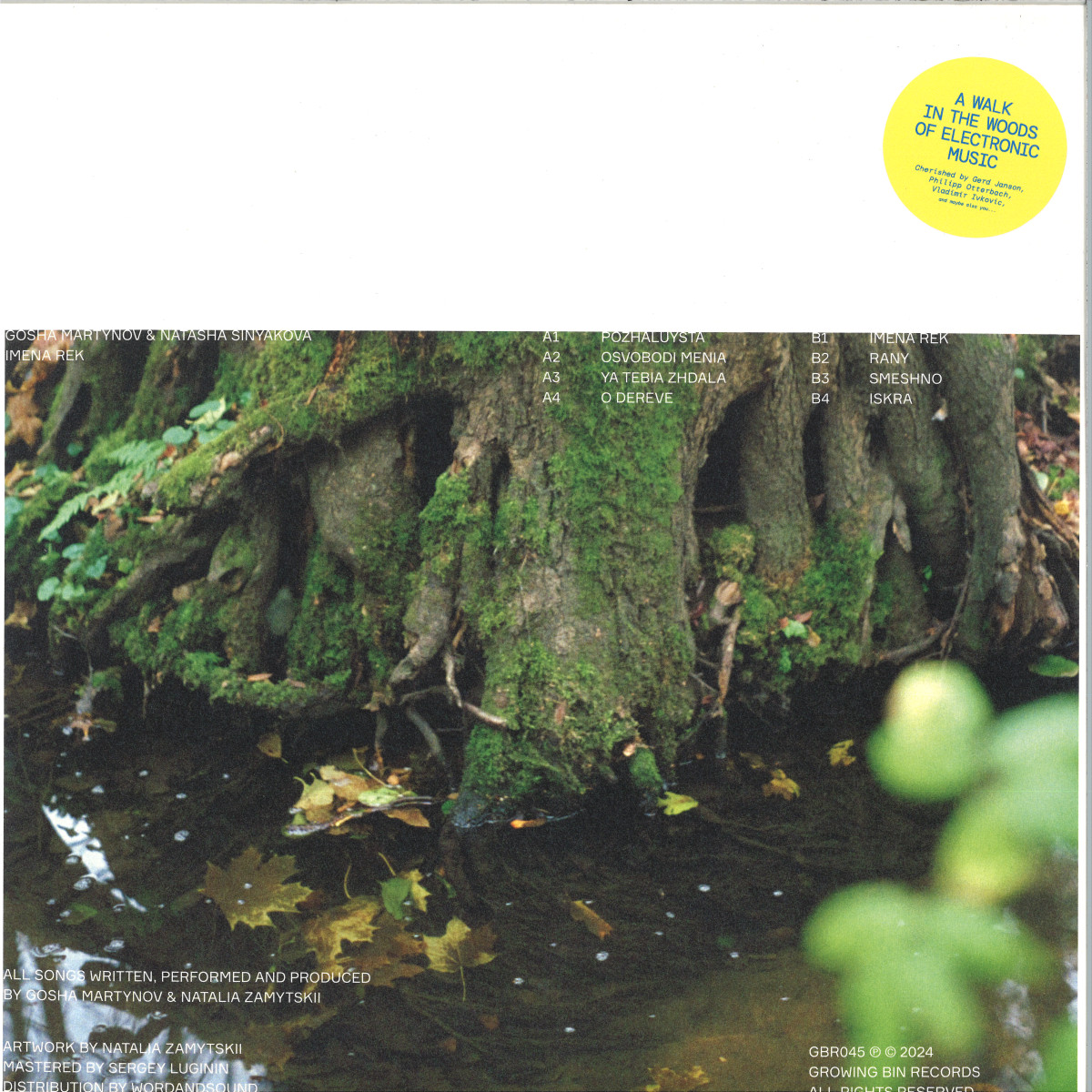 Gosha Martynov, Natasha Sinyakova — Imena Rek (LP) vinyl cover
