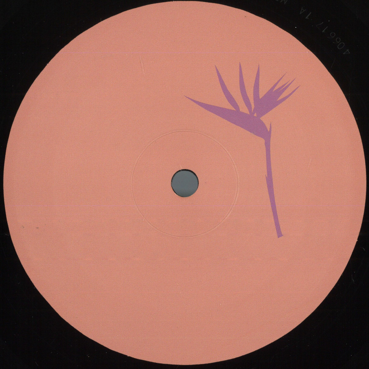 Daniel Meister — Lanao Izany EP vinyl cover
