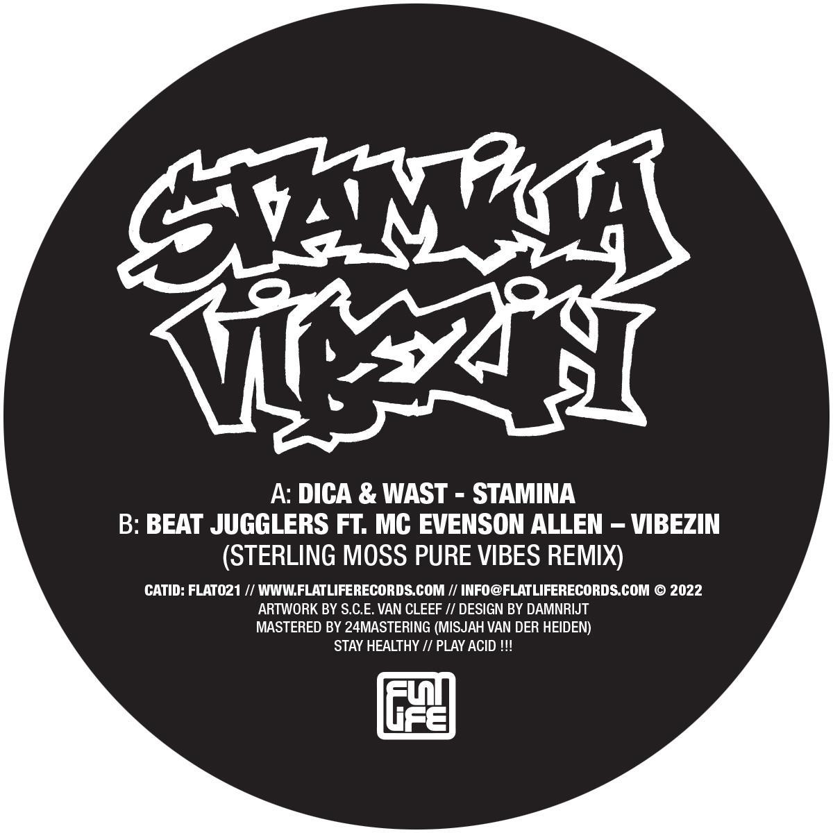 Dica, Wast, Beat Jugglers — Stamina / Vibezin vinyl cover