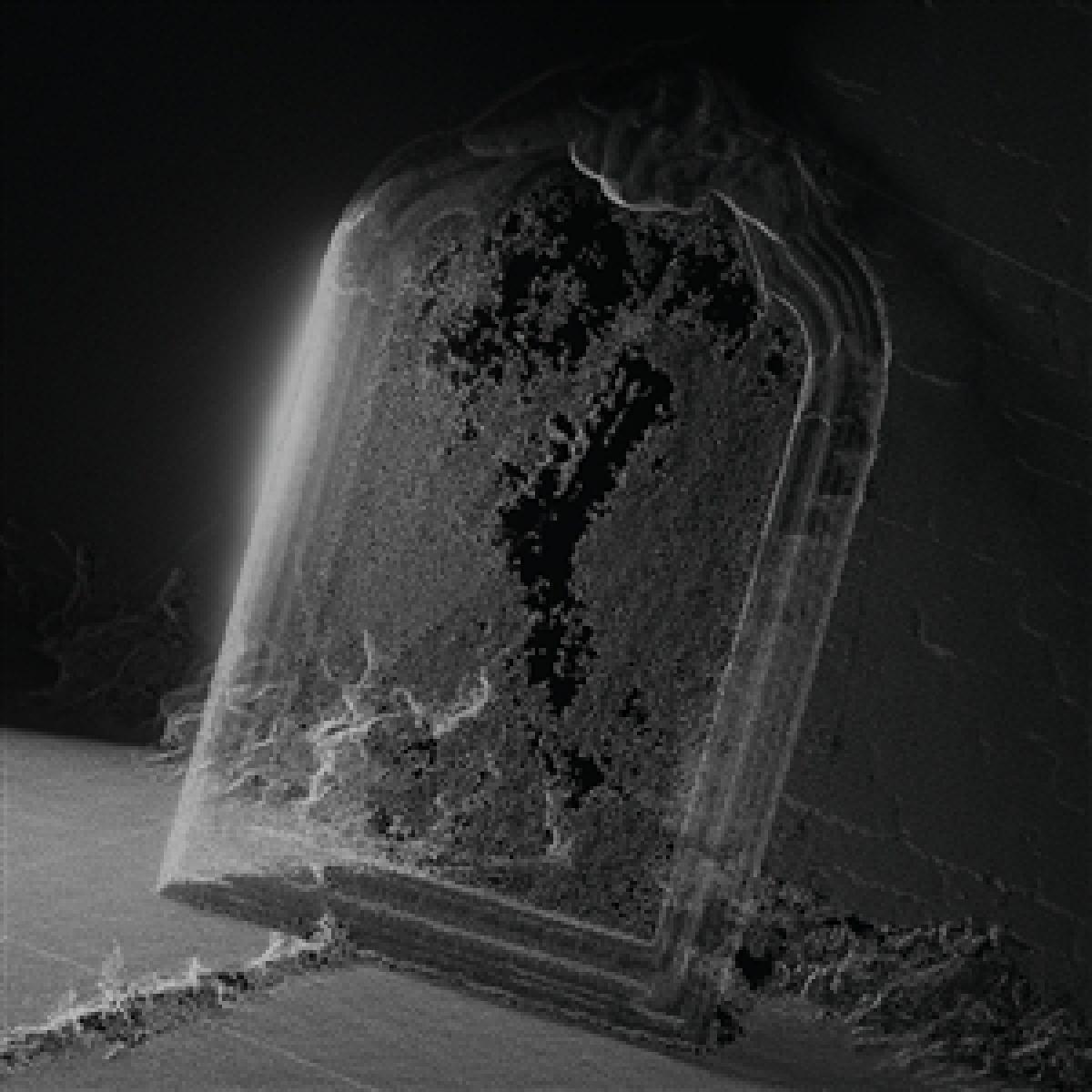 Visible Cloaks — PARADESSENCE vinyl cover