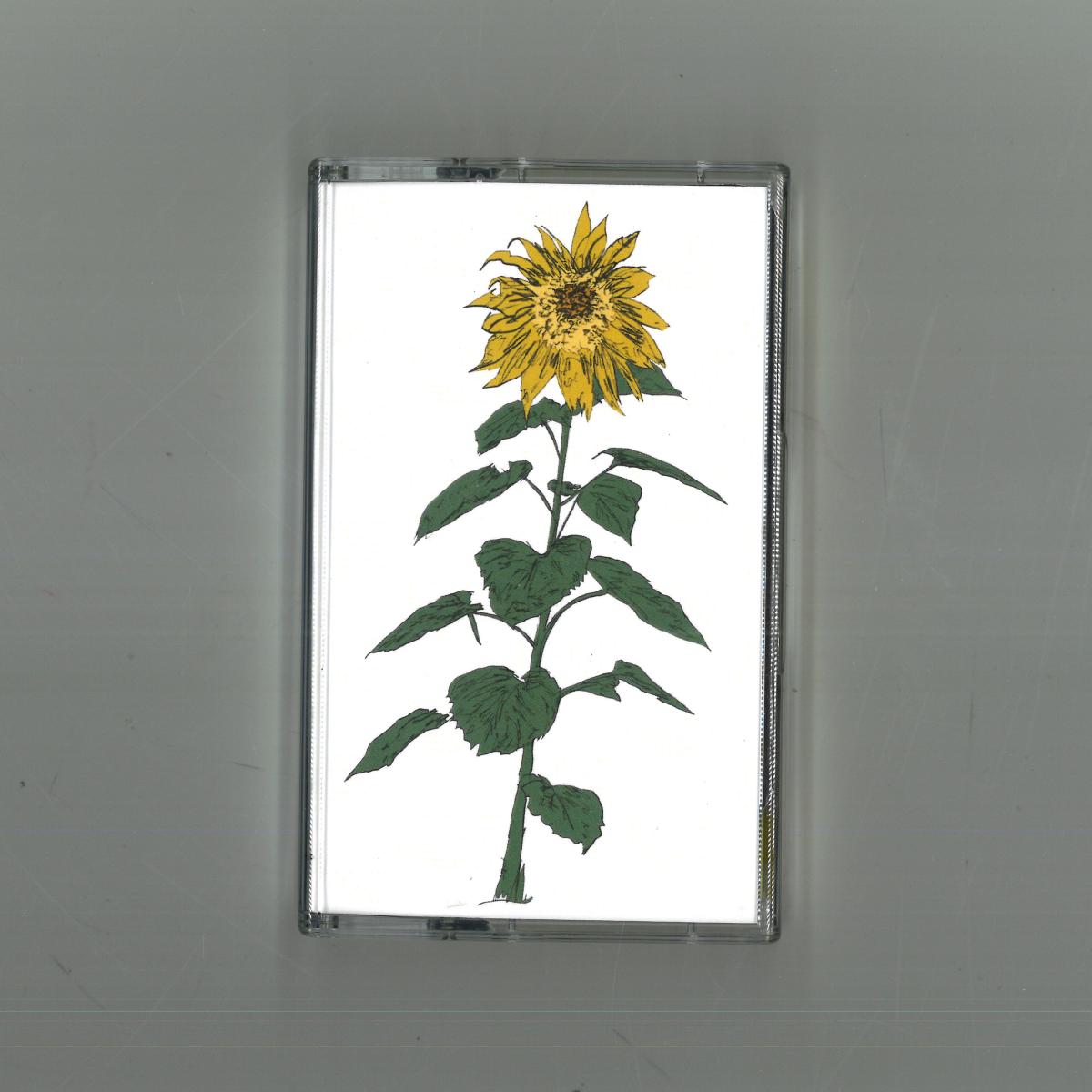 Brian d'Souza, Auntie Flo — Music To Watch Seeds Grow By 007: Brian d'Souza (Sunflowers) vinyl cover