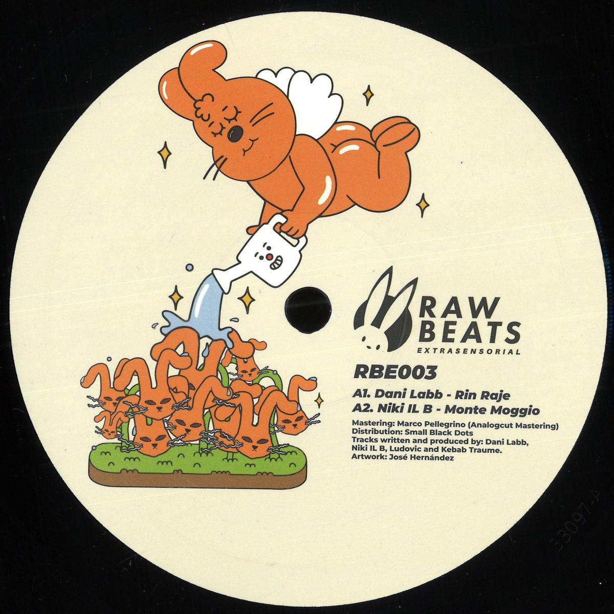 Various — Rawbeats Extrasensorial 003 vinyl cover