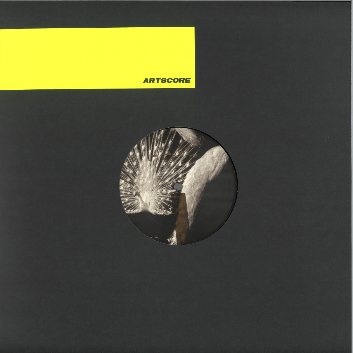 Introversion — Laeddis vinyl cover