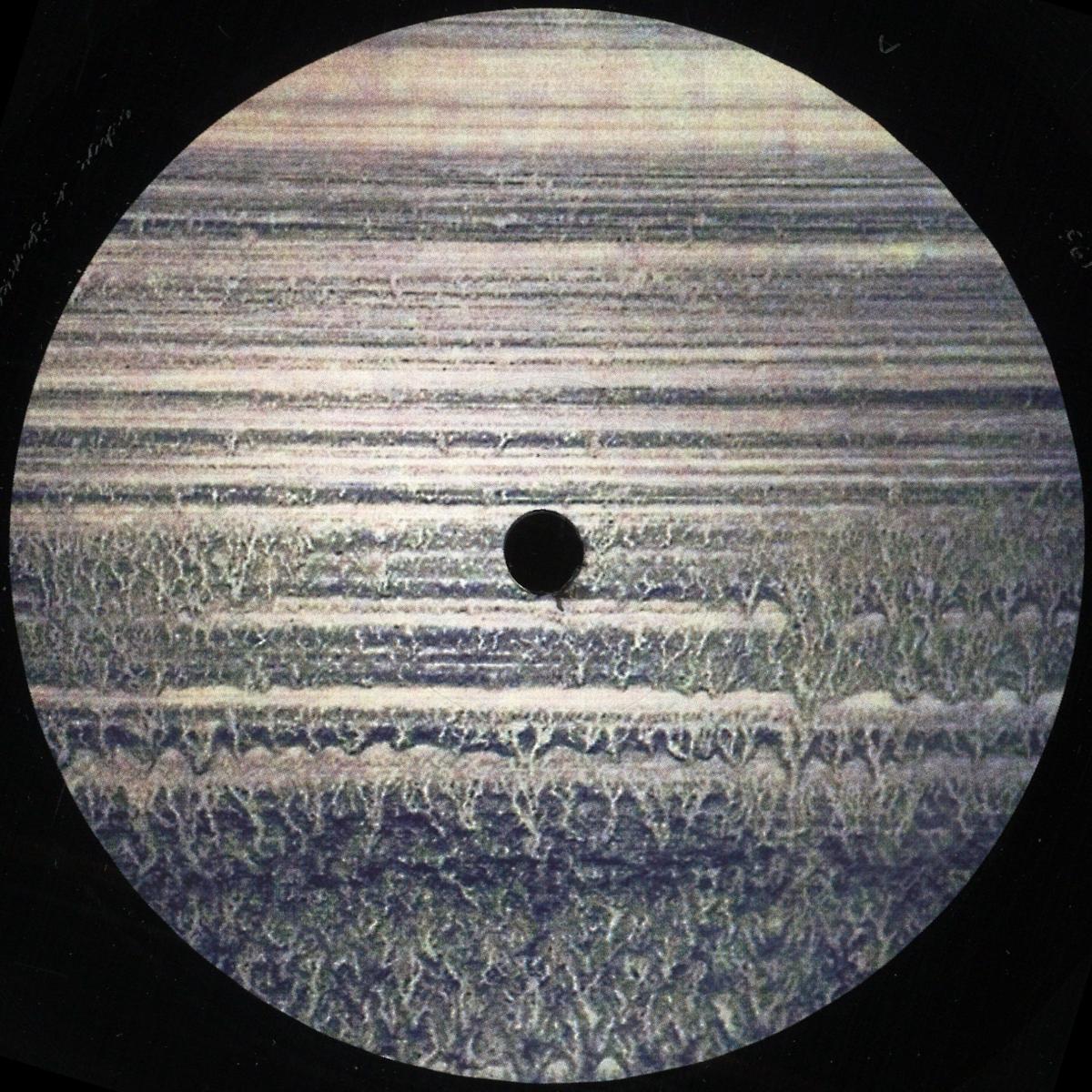Ribe — SERÁ vinyl cover