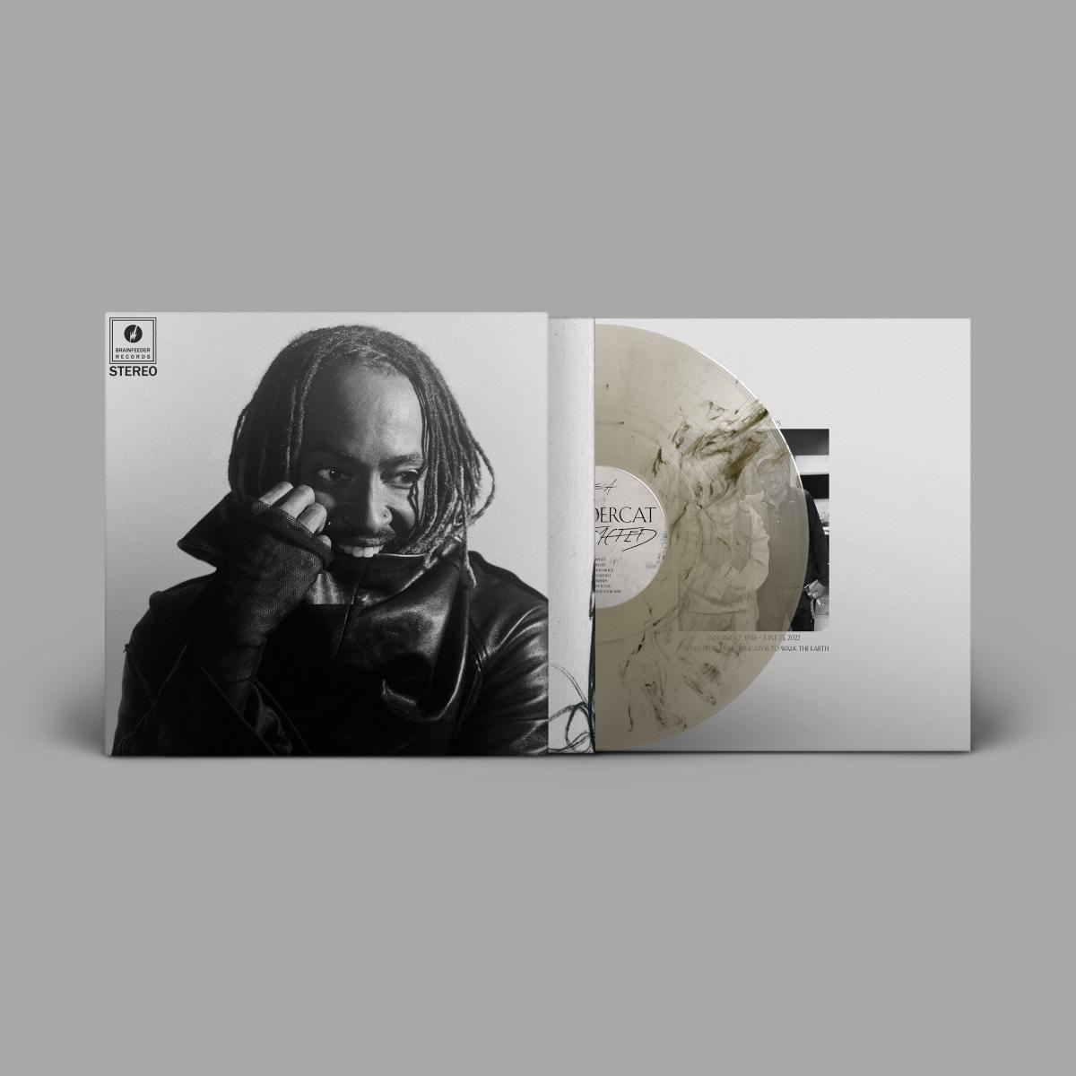 Thundercat — Distracted LP vinyl cover