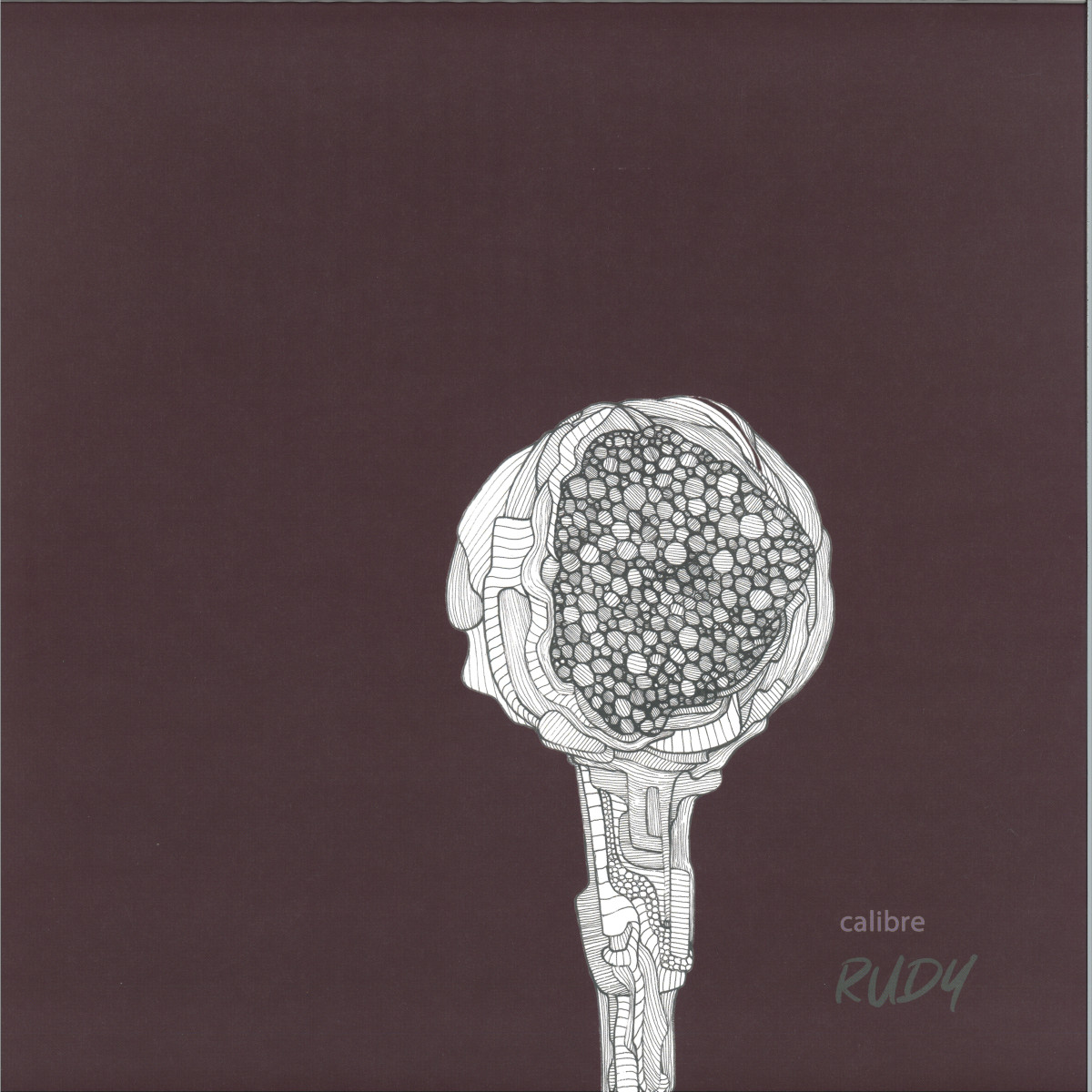 Calibre — Rudy 3x12" vinyl cover