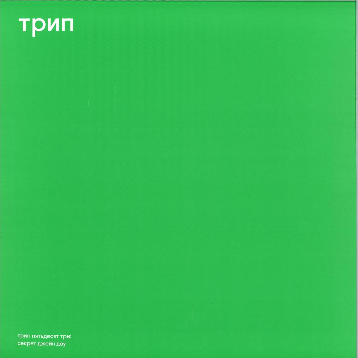 vladimir dubyshkin — jane doe's secret vinyl cover