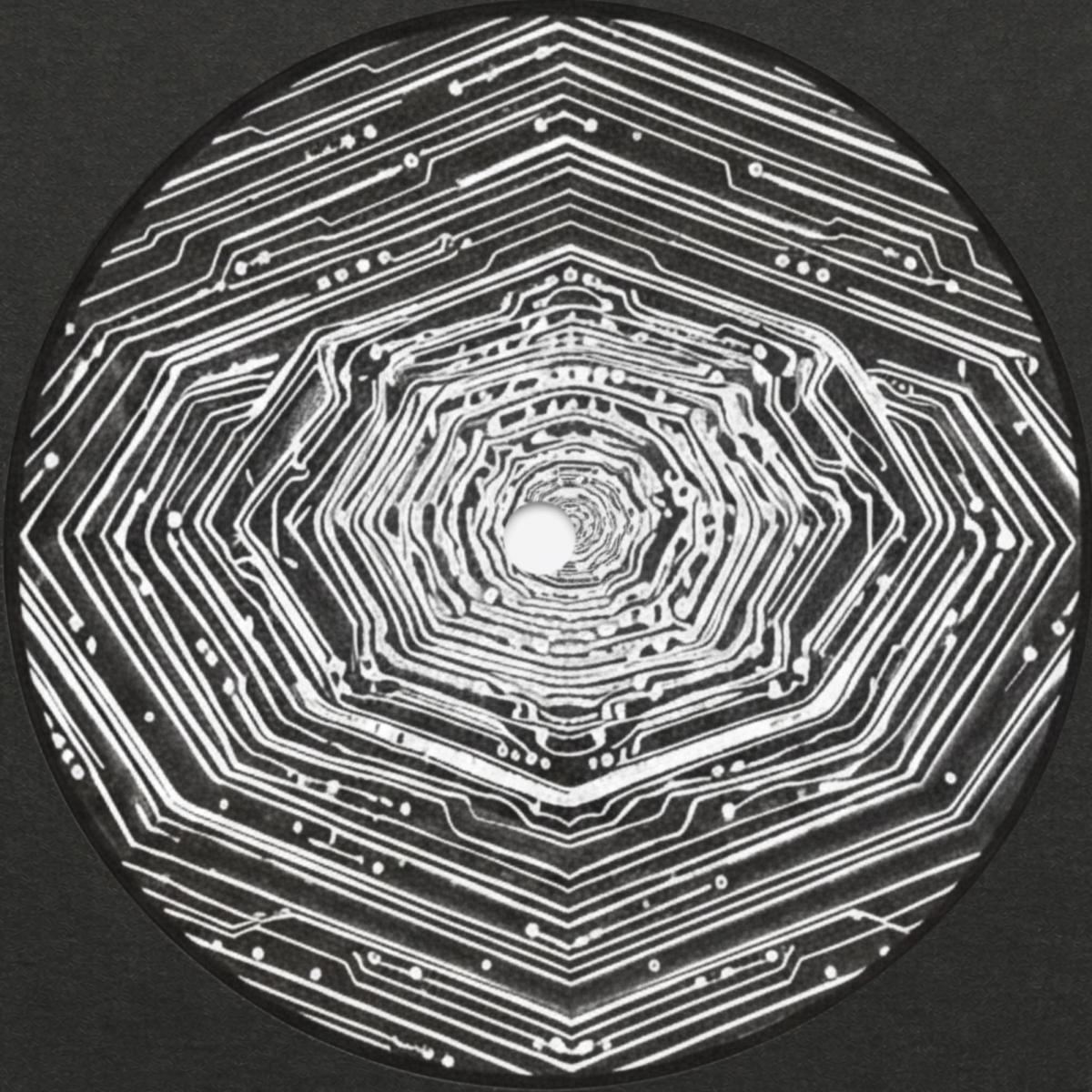 Shkedul — You Are Now Connected LP 2x12" vinyl cover