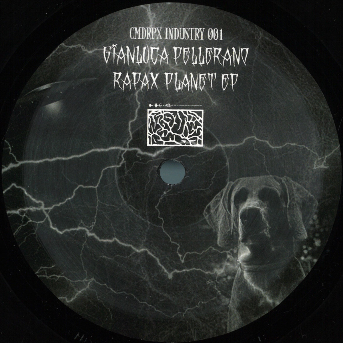 Gianluca Pellerano — Rapax Planet EP vinyl cover