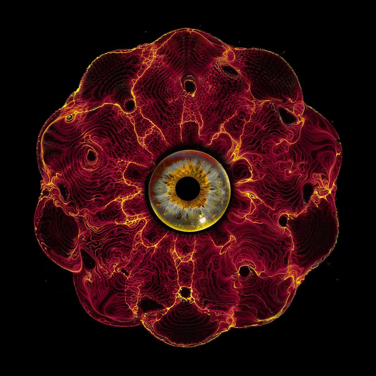 Stefano Testa — SPCWX EP vinyl cover