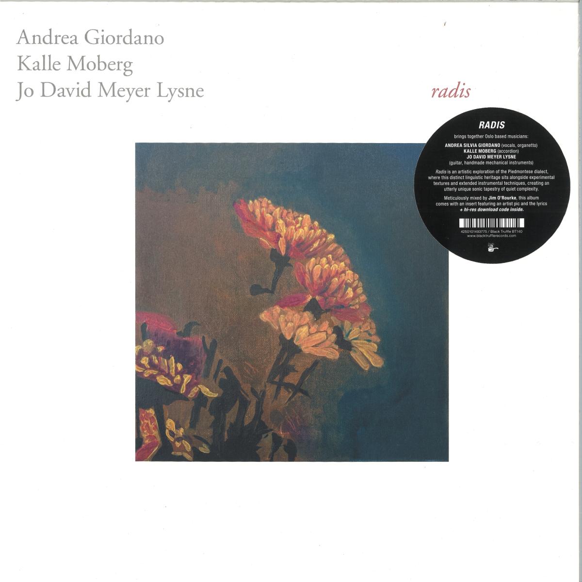 Andrea Giordano, Kalle Moberg, Jo David Meyer Lysne — Radis LP vinyl cover
