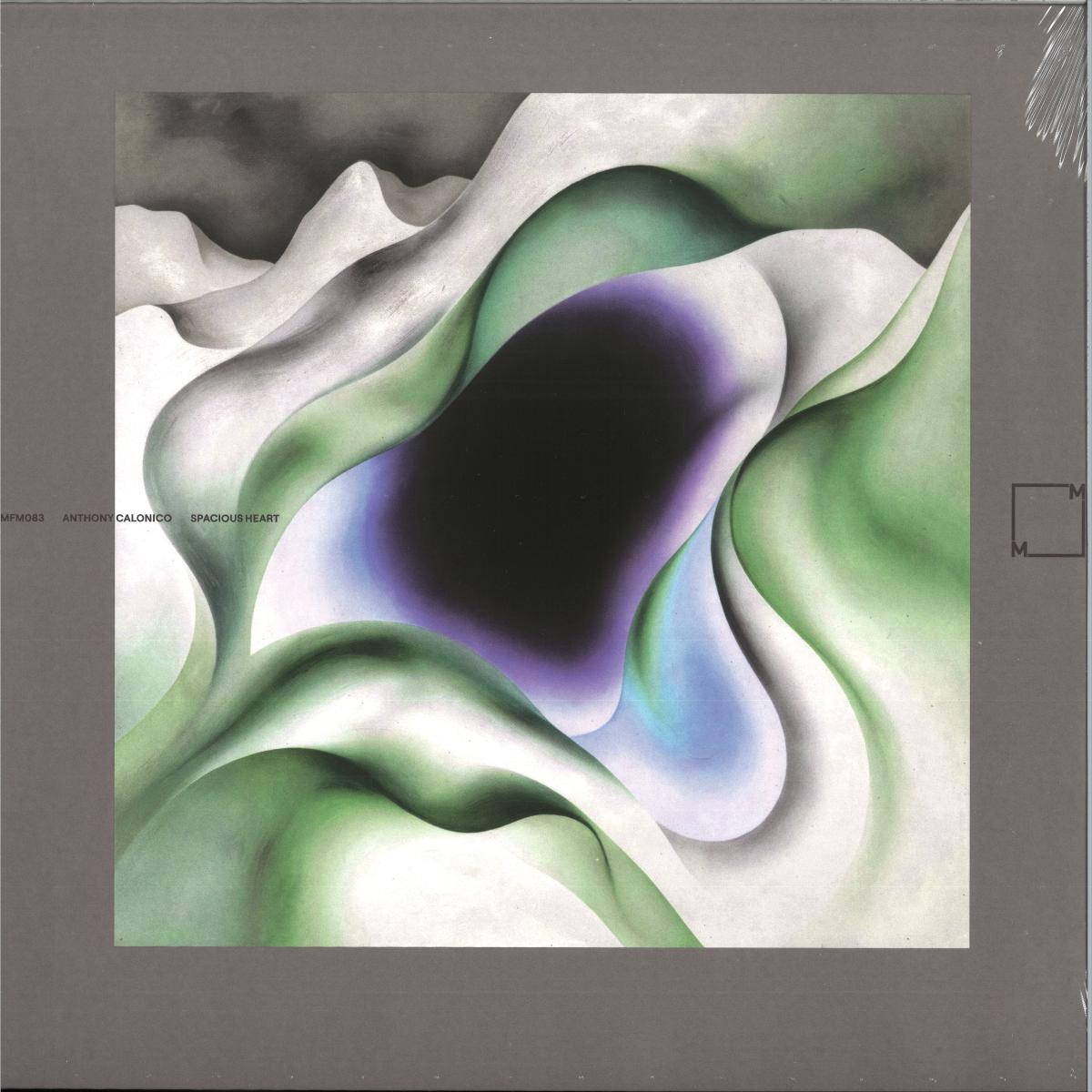 Anthony Calonico — SPACIOUS HEART LP 2x12" vinyl cover