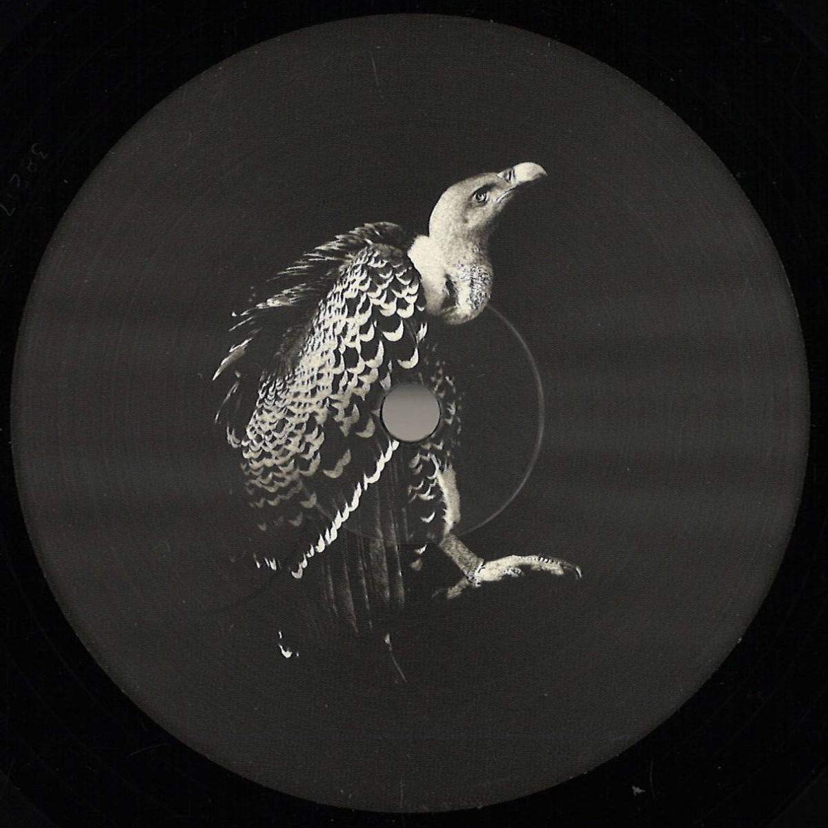 Viels, Pyramidal Decode — Processo Irreversibile EP vinyl cover