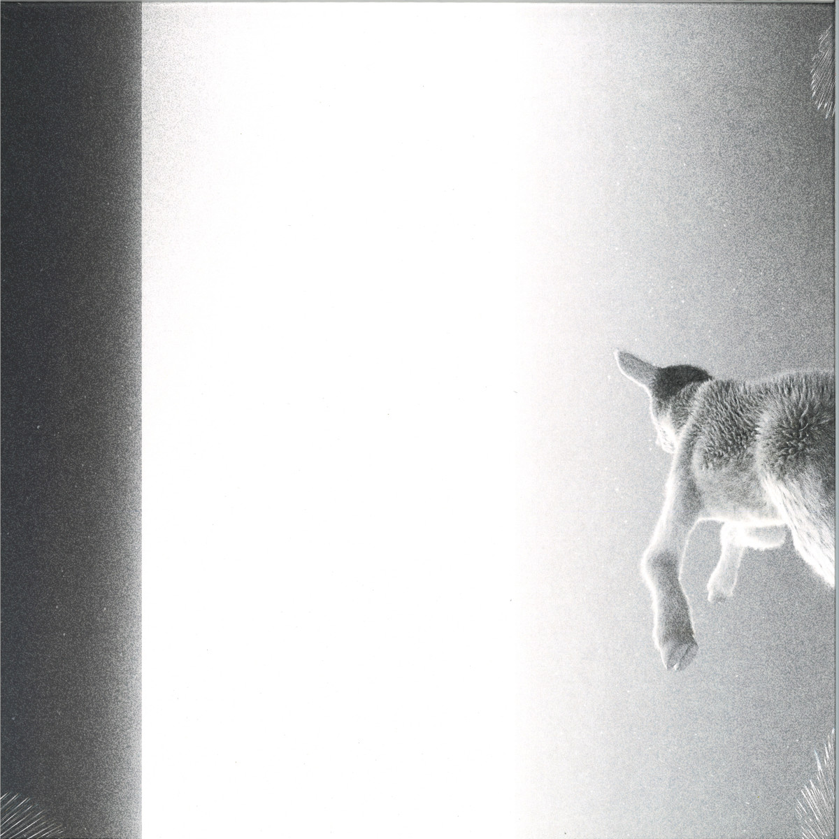 Panoram — Keep Looking Where The Light Comes From LP vinyl cover