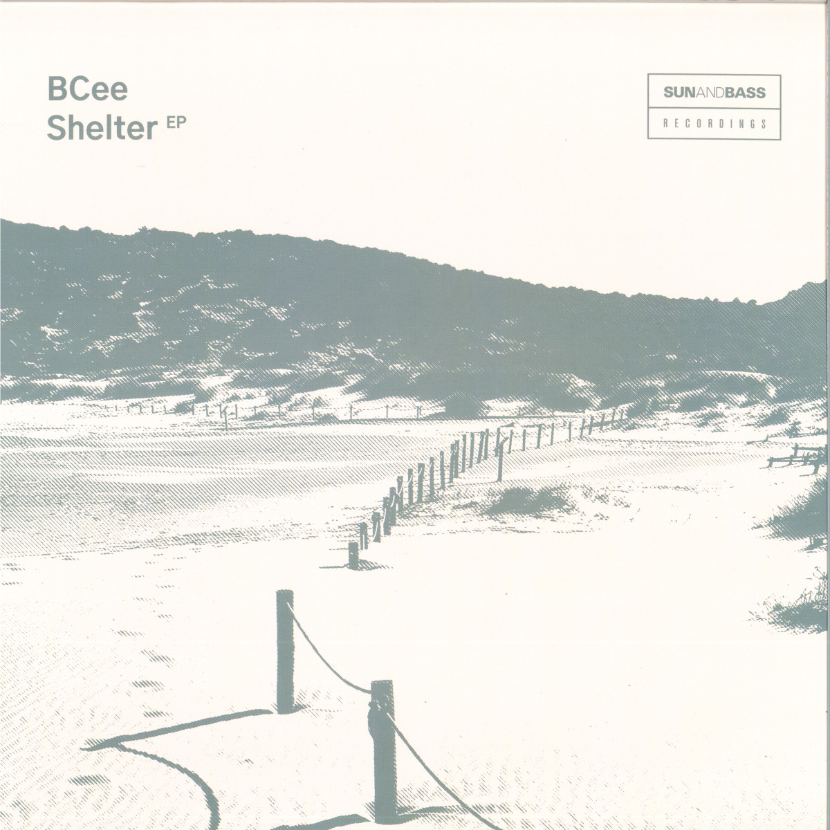 BCee — Shelter EP vinyl cover