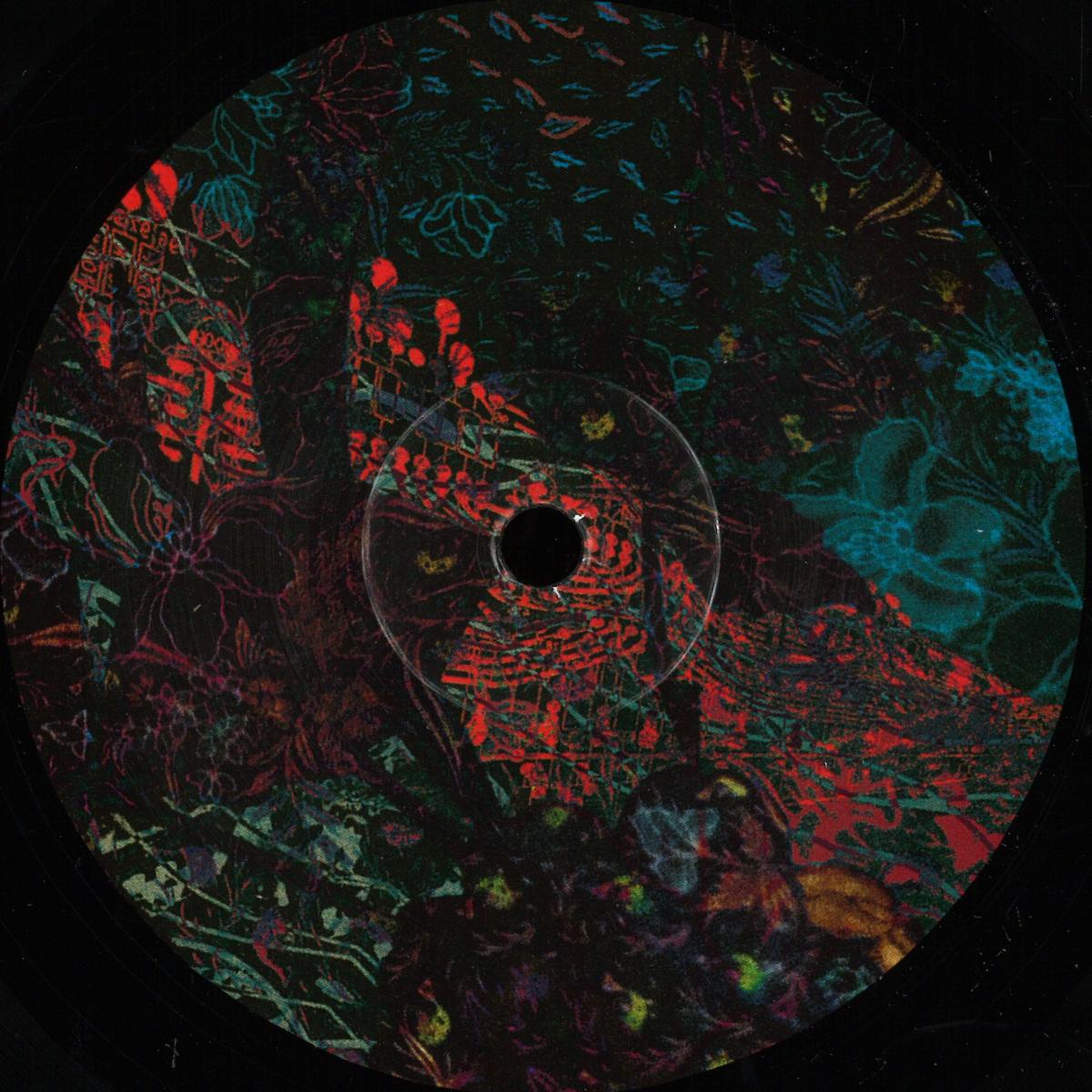 Ian Pooley — Floris vinyl cover