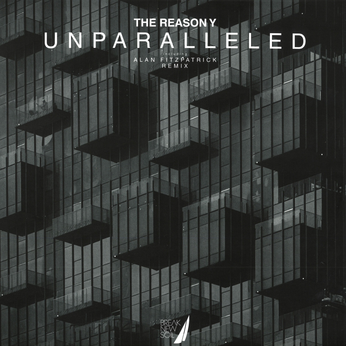 The Reason Y — Unparalleled vinyl cover