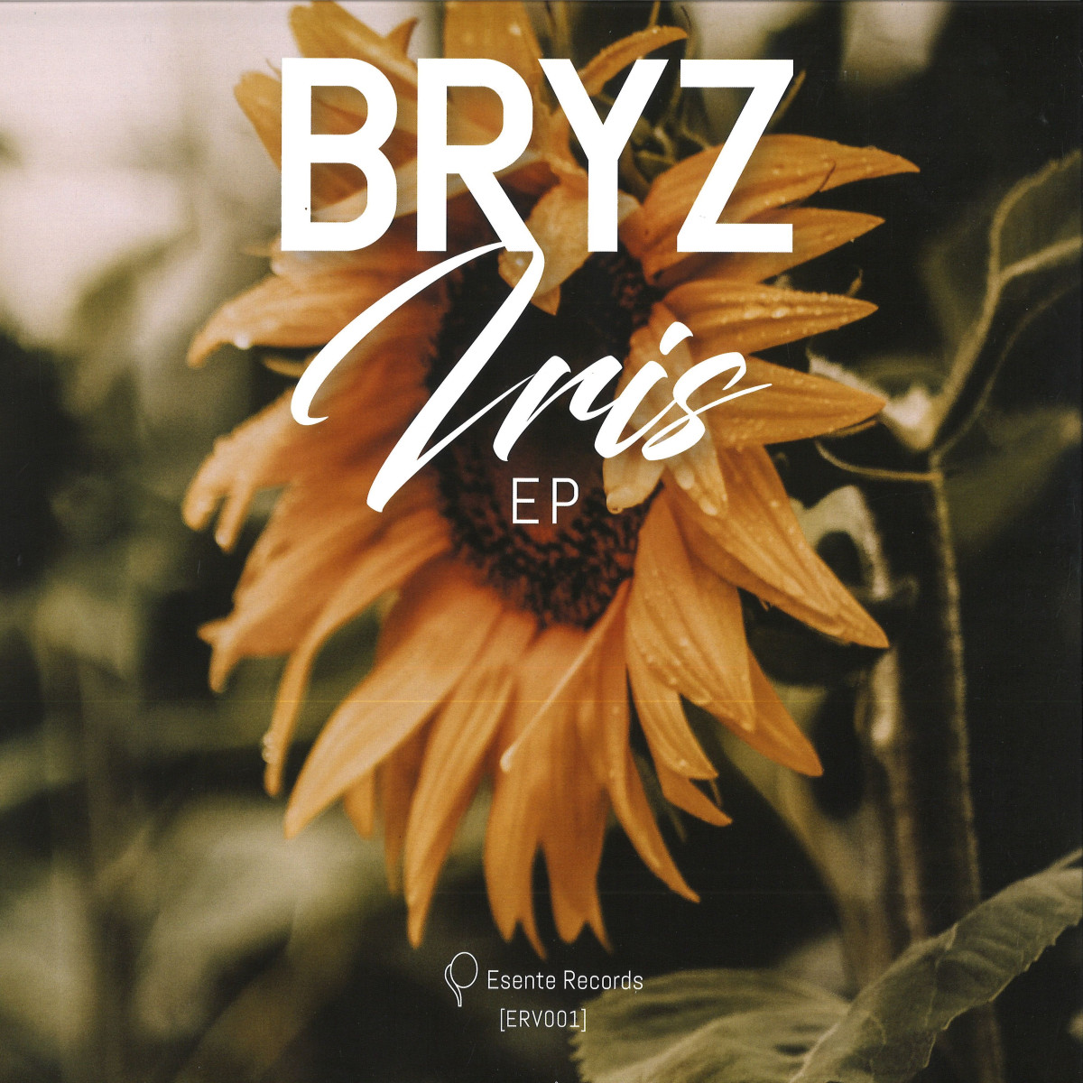 Bryz — Iris EP vinyl cover