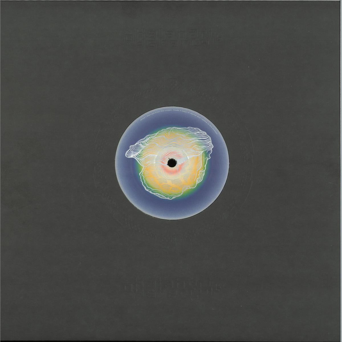 Aquafaba — Plura LP 2x12" vinyl cover
