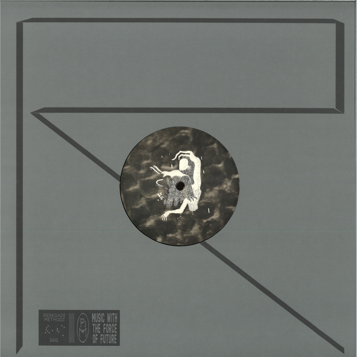 Augusto Taito — Rough Skin vinyl cover