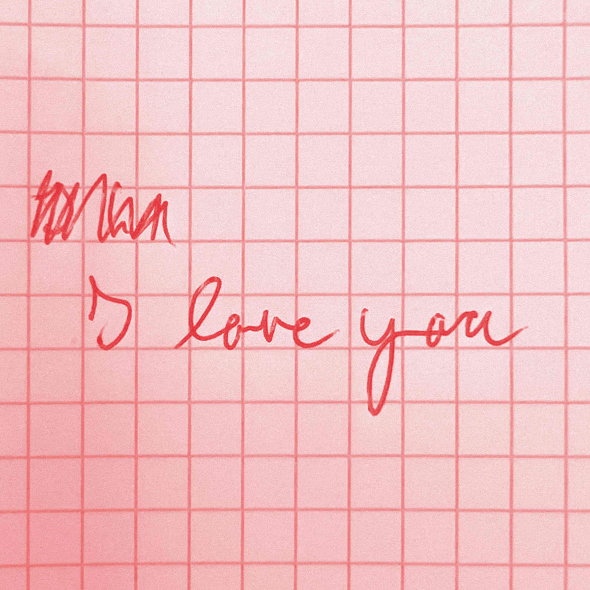 Andhim — I Love You / I Hate You vinyl cover