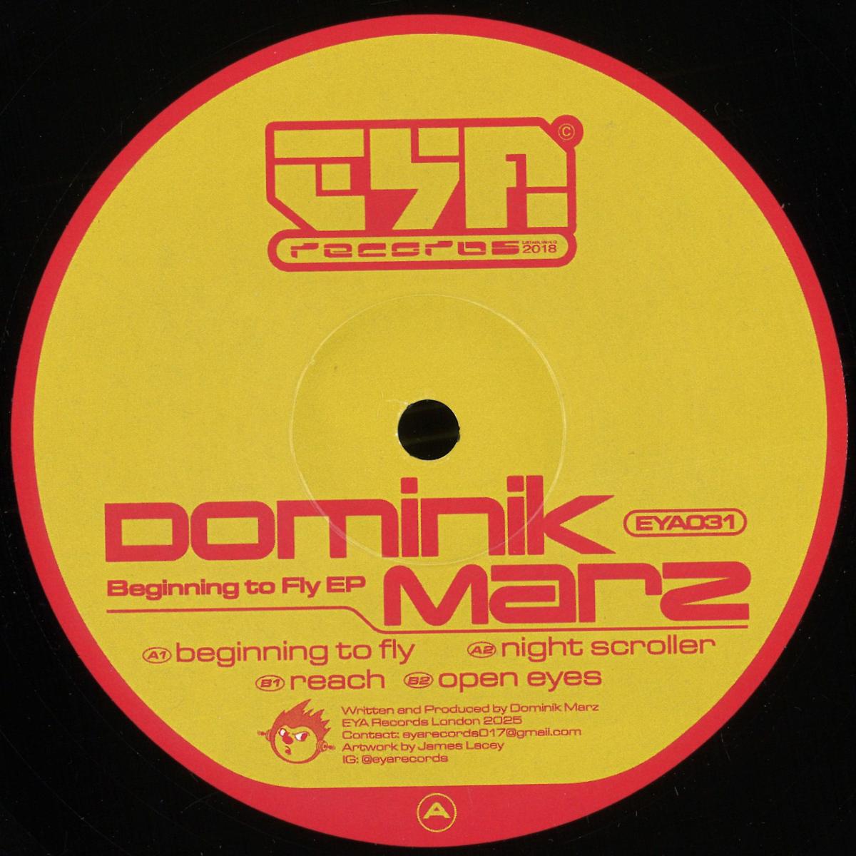 Dominik Marz — Beginning To Fly EP vinyl cover