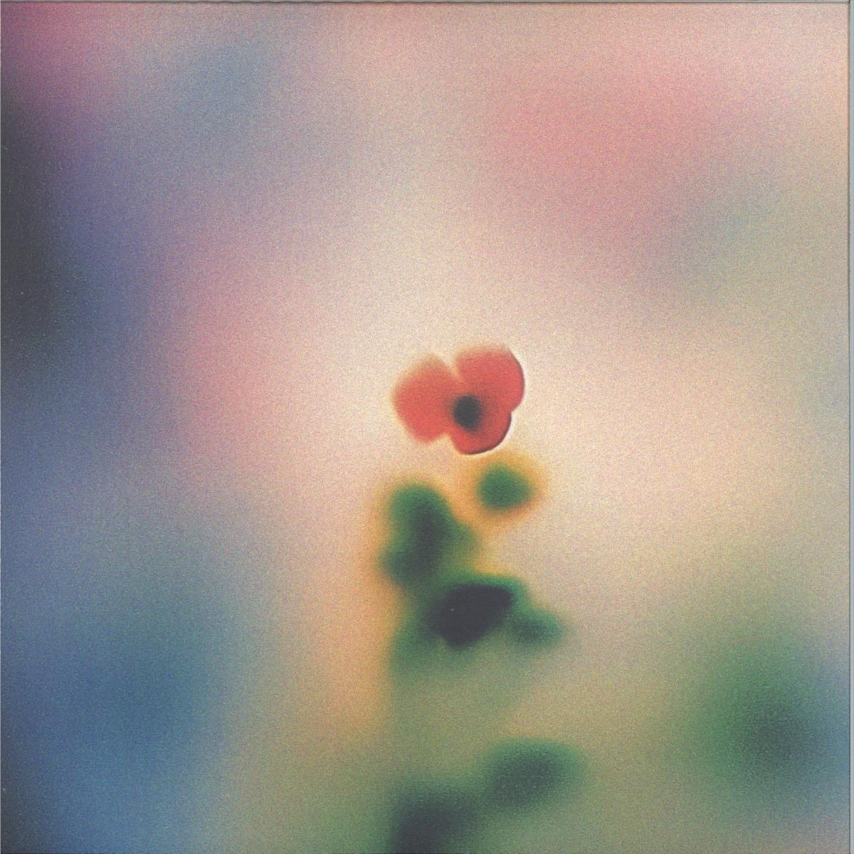Wala — SMV012 vinyl cover