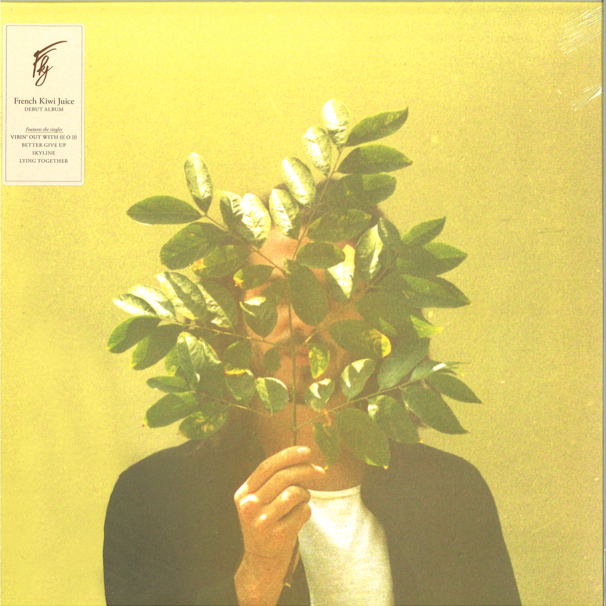 Fkj — French Kiwi Juice LP 2x12" vinyl cover